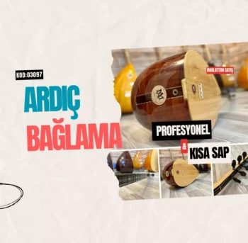 Profesyonel Ardıç Bağlama Kısa Sap