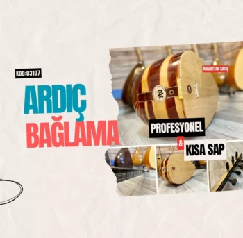 Profesyonel Ardıç Bağlama Kısa Sap