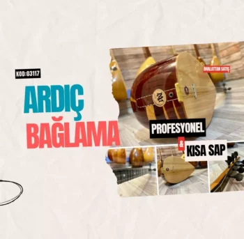 Profesyonel Ardıç Bağlama Kısa Sap