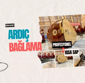 Profesyonel Ardıç Bağlama Kısa Sap