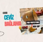 Ceviz Bağlama