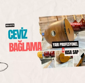 Ceviz Bağlama