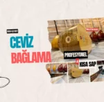 Ceviz Bağlama