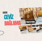 Ceviz Bağlama