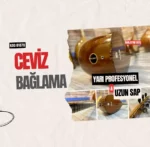 Ceviz Bağlama