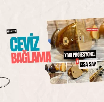 Ceviz Bağlama