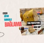 Dut Bağlama Kısa Sap