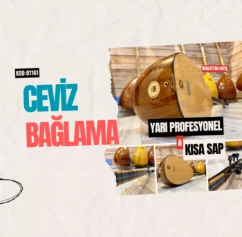 Ceviz Bağlama