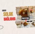 Solak Bağlama Profesyonel Maun Kısa Sap