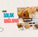 Solak Bağlama Profesyonel Maun Kısa Sap