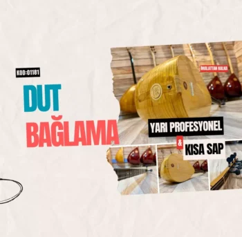 Dut Bağlama Yarı Profesyonel