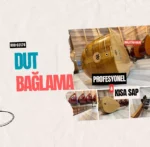 Profesyonel Kısa Sap Dut Bağlama