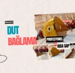Profesyonel Dut Bağlama Kısa Sap