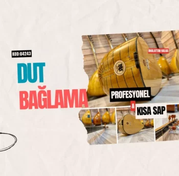 Profesyonel Kısa Sap Dut Bağlama