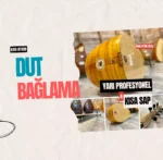 Dut Bağlama Yarı Profesyonel