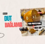 Dut Bağlama Yarı Profesyonel