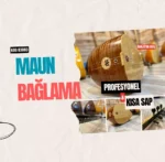 Profesyonel Maun Bağlama Kısa Sap