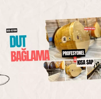 Profesyonel Dut Bağlama