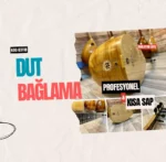 Profesyonel Kısa Sap Dut Bağlama