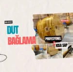 Profesyonel Dut Bağlama Kısa Sap