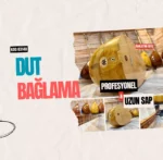 Profesyonel Dut Bağlama