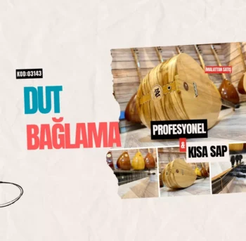 Profesyonel Dut Bağlama Kısa Sap