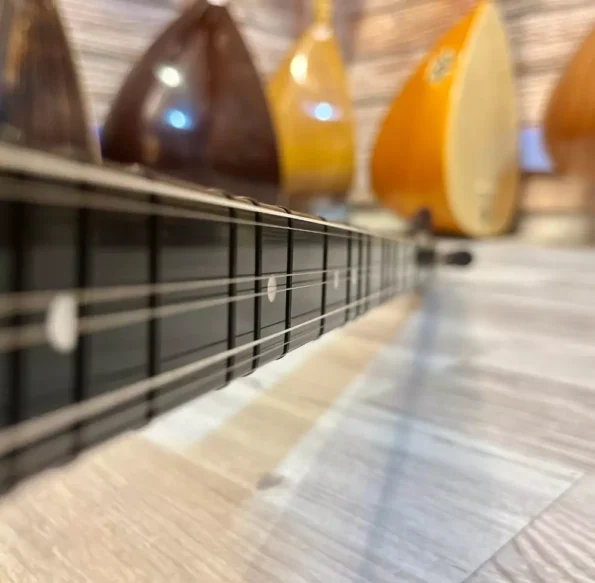 Profesyonel Dut Bağlama