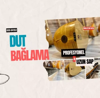 Profesyonel Dut Bağlama