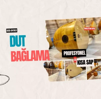 Profesyonel Bağlama Dut Kısa Sap
