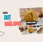 Profesyonel Bağlama Dut Kısa Sap