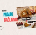 Profesyonel Uzun Sap Maun Bağlama