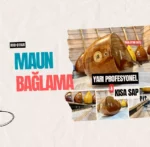 Maun Kısa Sap Bağlama