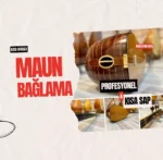 Profesyonel Maun Bağlama Kısa Sap