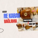 Re Karar Profesyonel Bağlama Kısa Sap