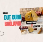 Cura Bağlama