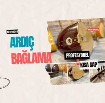 Profesyonel Ardıç Bağlama Kısa Sap