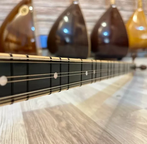 Profesyonel Uzun Sap Dut Bağlama