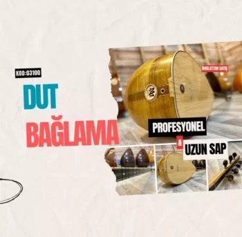 Profesyonel Uzun Sap Dut Bağlama