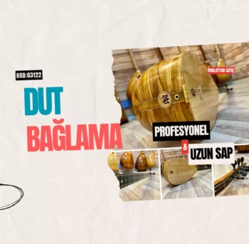 Profesyonel Uzun Sap Dut Bağlama