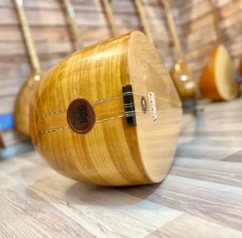 Profesyonel Uzun Sap Dut Bağlama