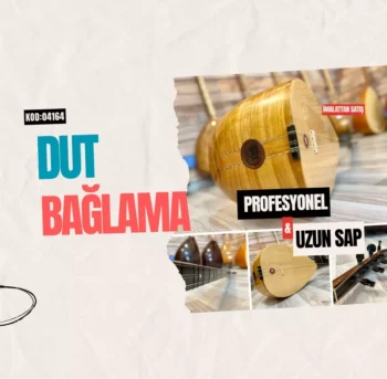 Profesyonel Uzun Sap Dut Bağlama