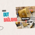 Kısa Sap Dut Bağlama Profesyonel