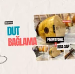 Kısa Sap Dut Bağlama Profesyonel