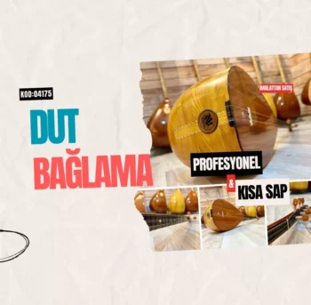 Kısa Sap Dut Bağlama Profesyonel