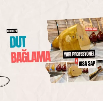 Kısa Sap Dut Bağlama