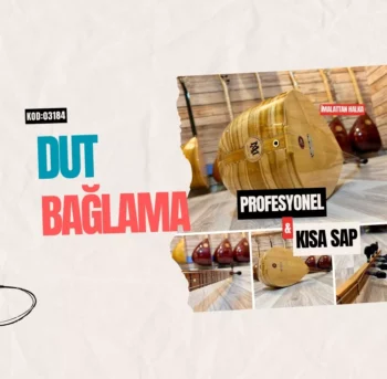 Kısa Sap Dut Bağlama