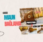 Uzun Sap Maun Bağlama