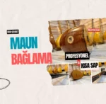 Maun Bağlama Kısa Sap