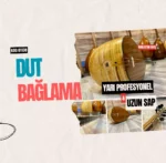 Uzun Sap Dut Bağlama