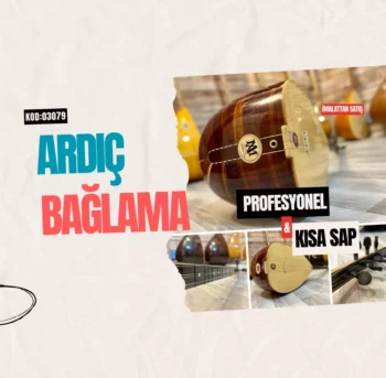 Ardıç Bağlama Kısa Sap
